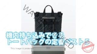 2way tote