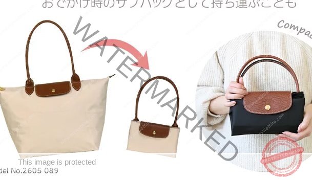 機内持ち込みOKトートバッグの定番ベスト5!おしゃれに手荷物ストレスを解消! 9 LONGCHAMP